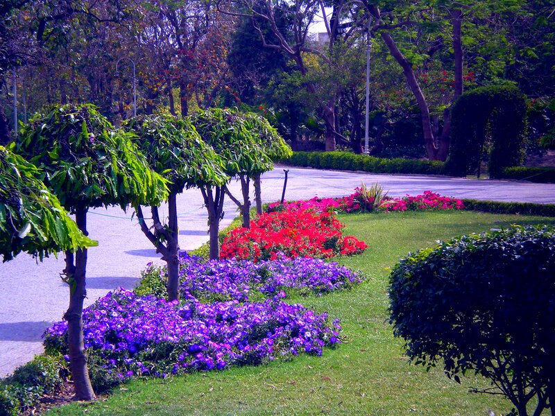Flower Beds in Park — Purple