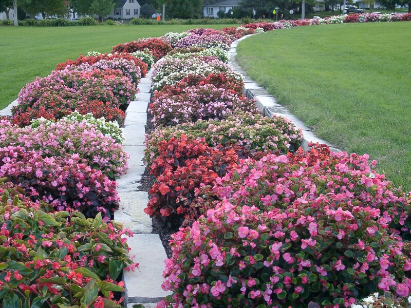 Flower Beds in Park