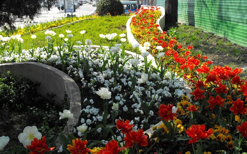 Flower Beds in Park — White, Serene