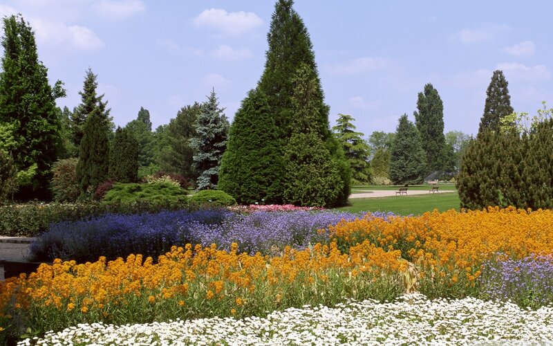 Flower Beds in Park — Yellow