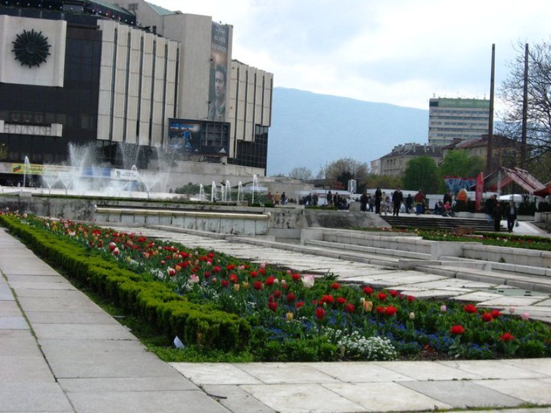 Flower Beds in Plaza