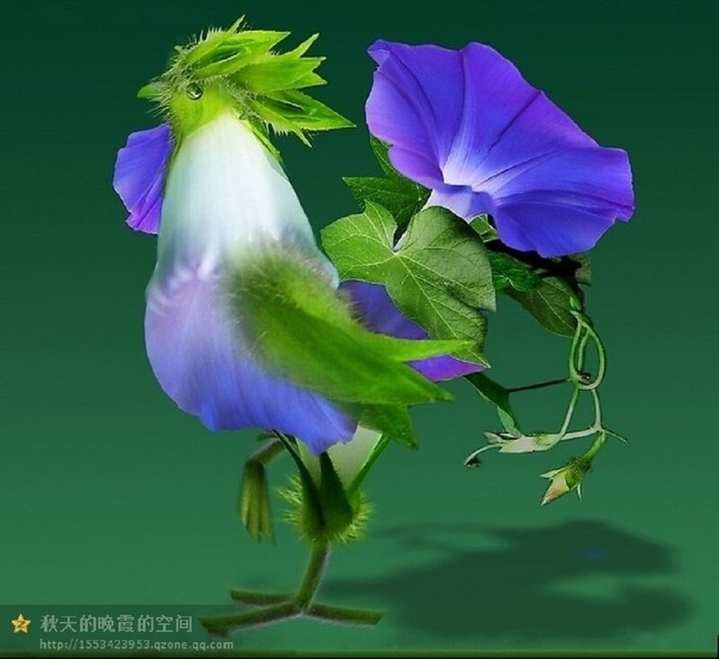 Flower Bird Creature — Green