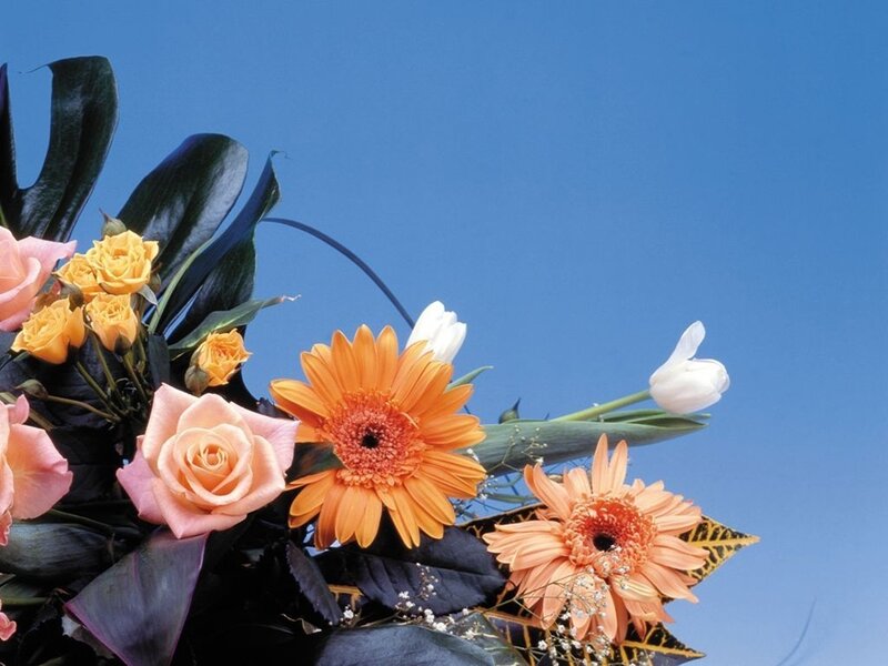 Flower bouquet against blue sky