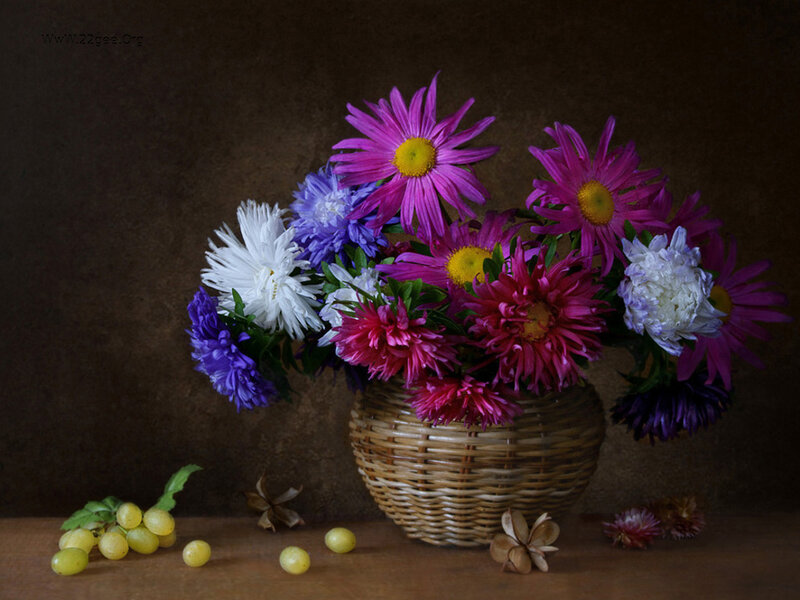 Flower Bouquet in Basket — Purple, Calm