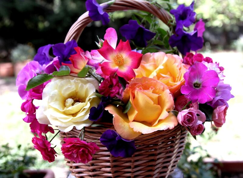 Flower Bouquet in Basket — Purple, Vibrant