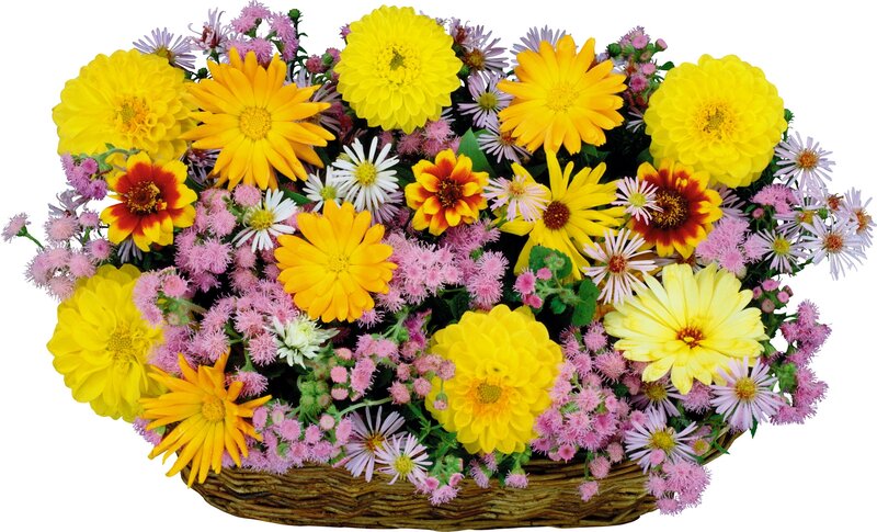 Flower Bouquet in Basket — Yellow, Bright, Summer, Photograph