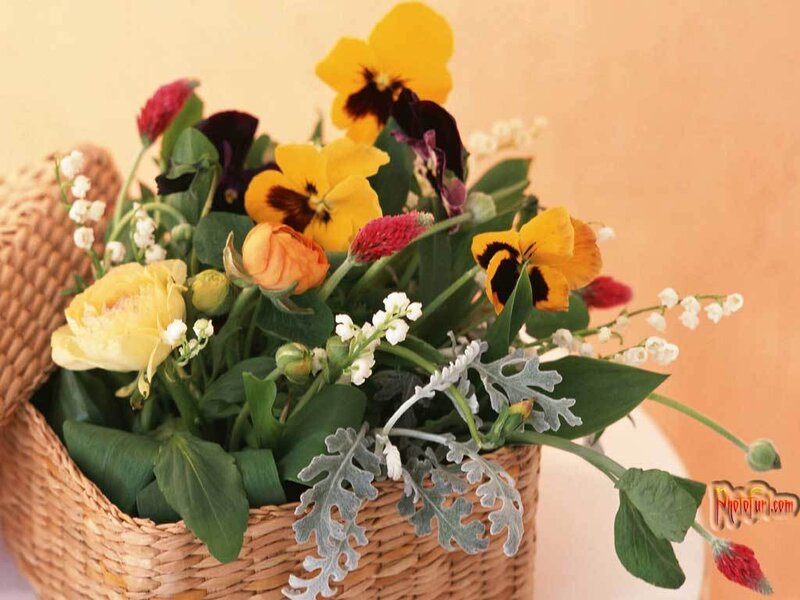 Flower Bouquet in Basket — Yellow, Calm