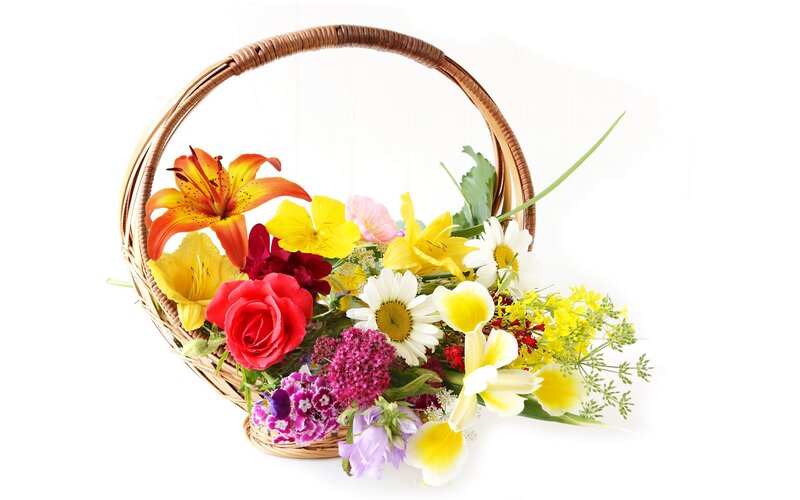 Flower Bouquet in Basket — Yellow, Cheerful