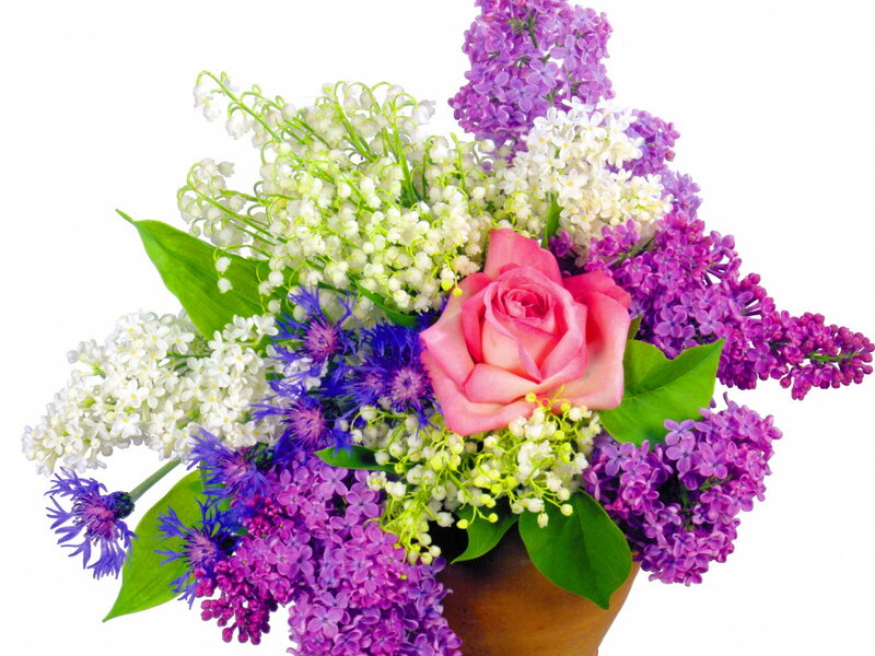 Flower Bouquet in Vase — Purple, Calm, Spring, Photograph