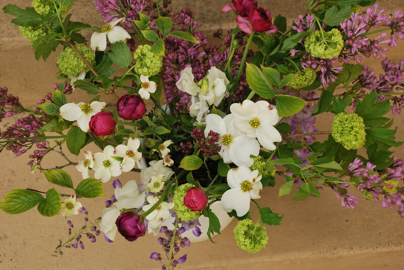 Flower Bouquet in Vase — White, Calm, Spring