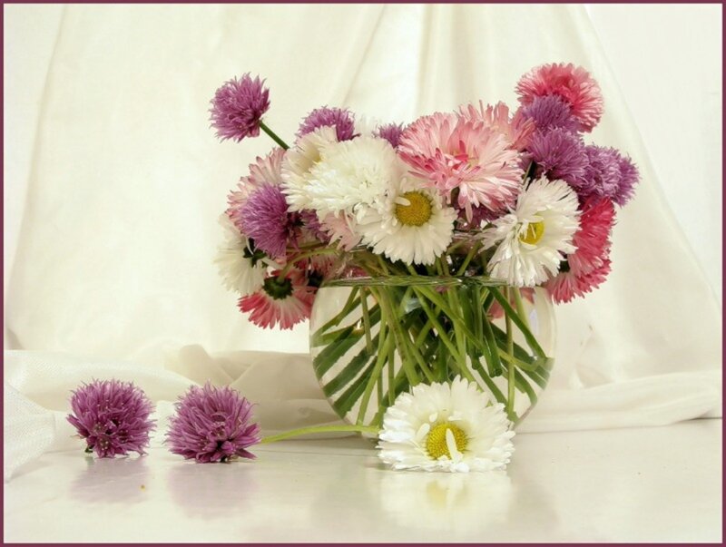 Flower Bouquet in Vase — White, Serene, Photograph, Flowers