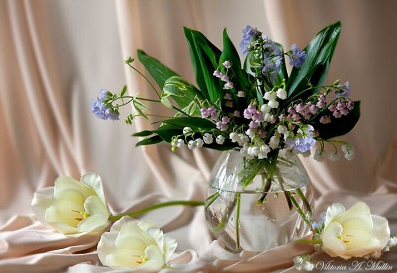Flower Bouquet in Vase — White, Serene, Photograph, Tulips