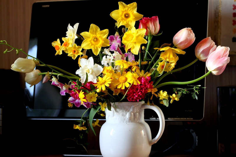 Flower Bouquet in Vase — Yellow, Calm, Photograph