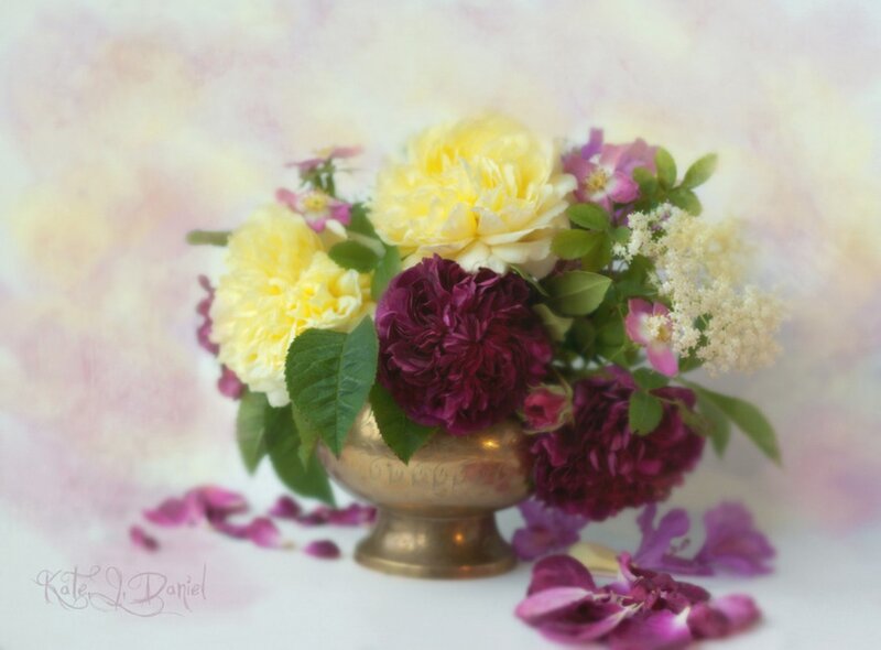 Flower Bouquet in Vase — Yellow, Serene, Photograph