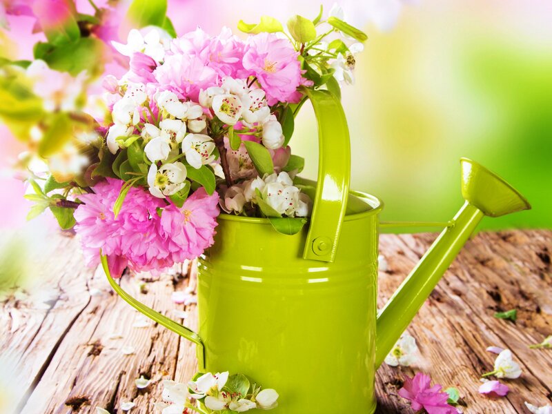 Flower Bouquet in Watering Can — Pink, Serene
