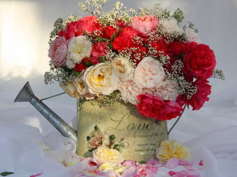 Flower Bouquet in Watering Can — Red, Serene