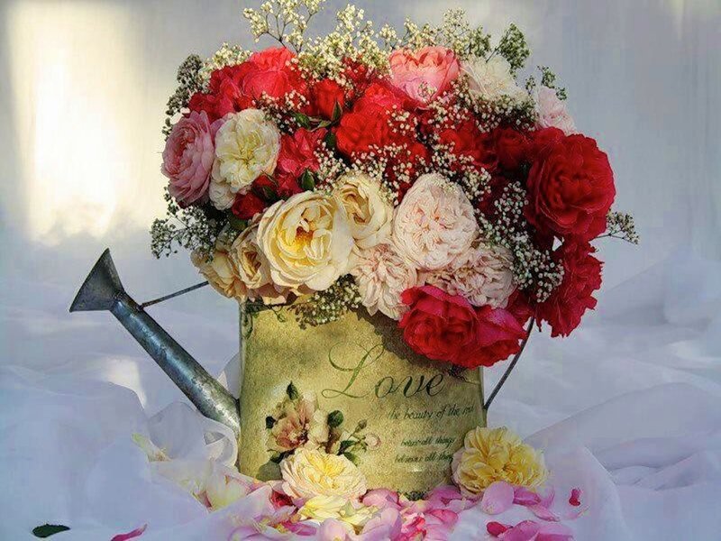 Flower Bouquet in Watering Can — Red