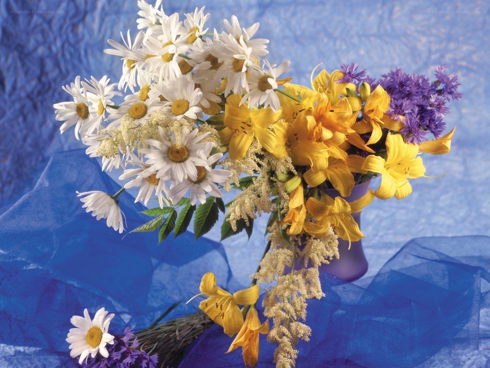 Flower bouquet on blue background