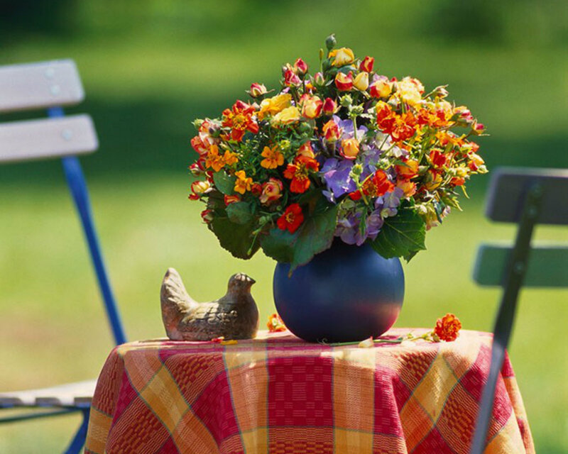 Flower Bouquet on Table — Blue, Serene