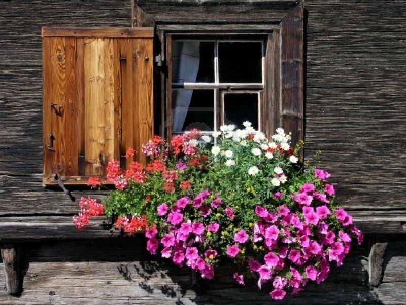 Flower Box by Window