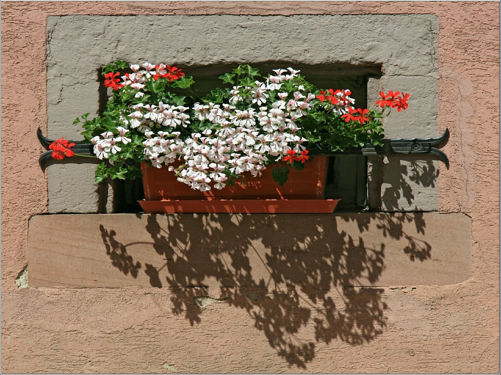 Flower box on a stone wall