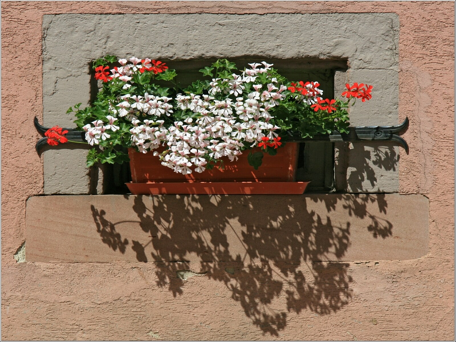 Flower box on a stone wall