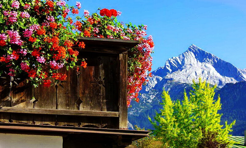Flower Box on Balcony