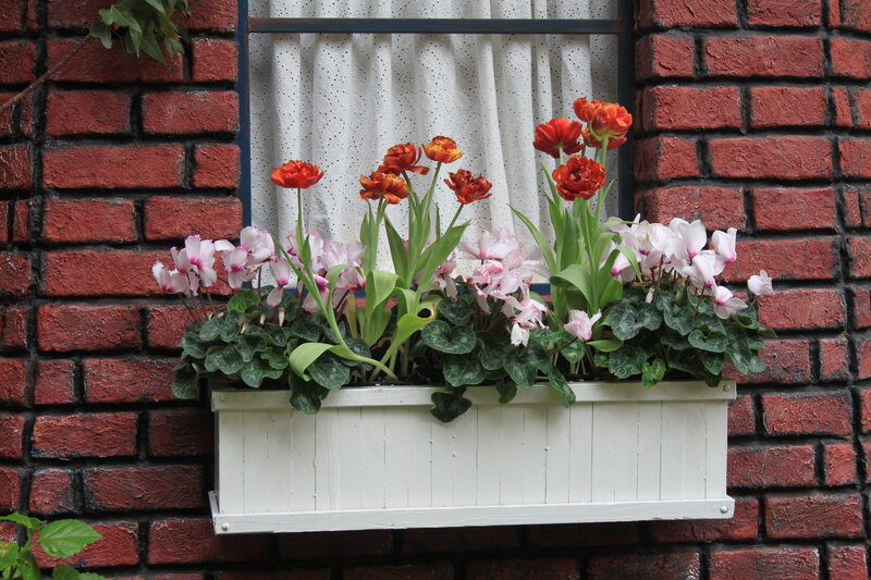 Flower Box on Brick Wall