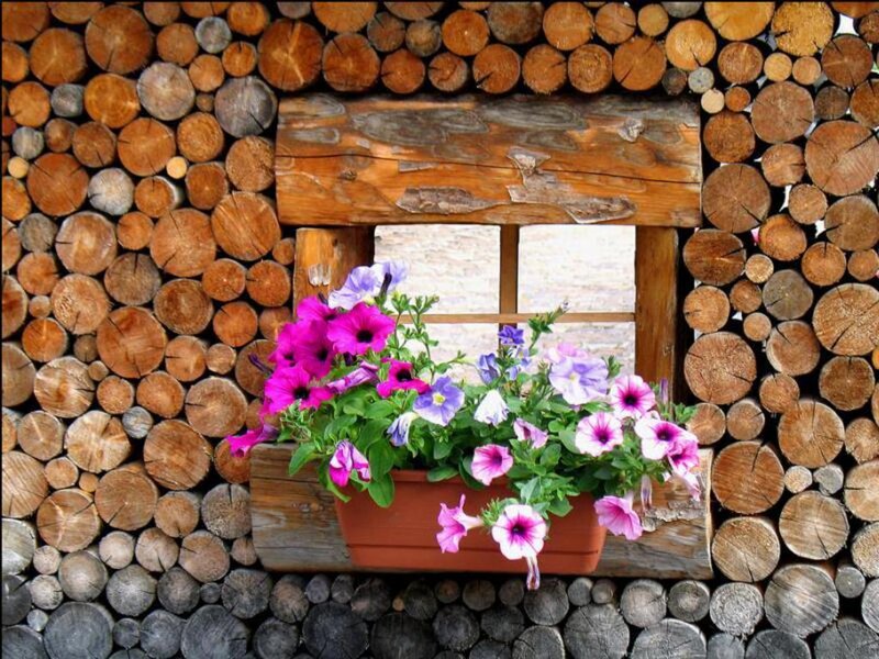 Flower Box on Log Wall