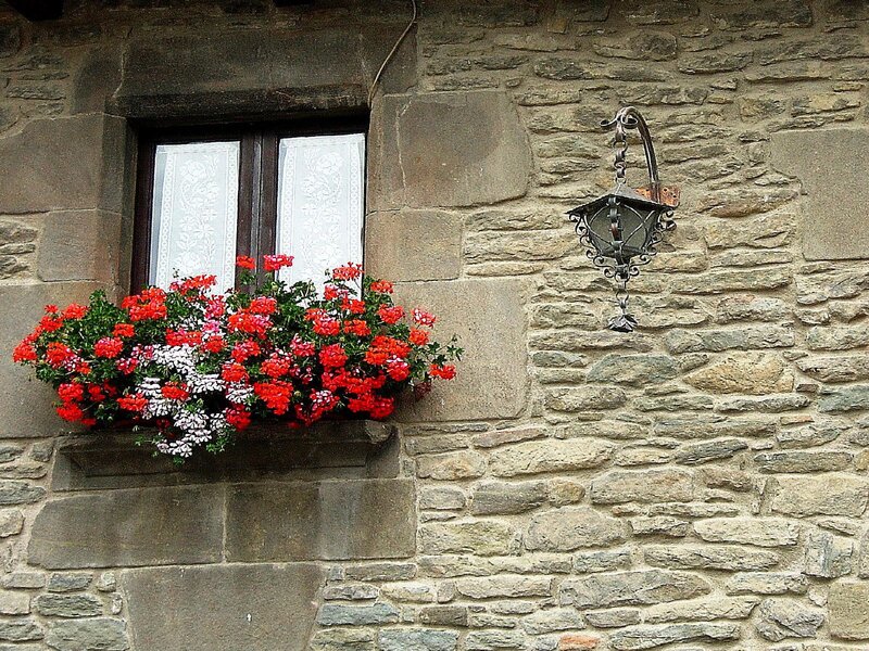 Flower box on stone wall