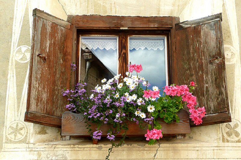 Flower Box on Window — Brown