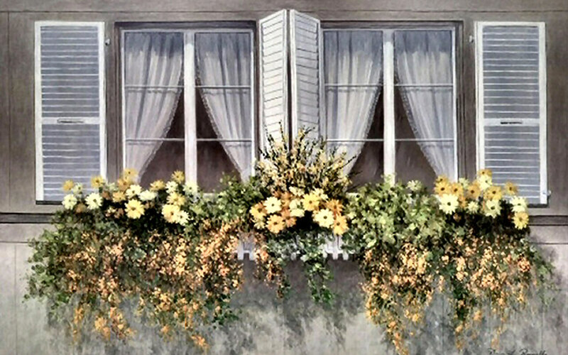 Flower Box on Window