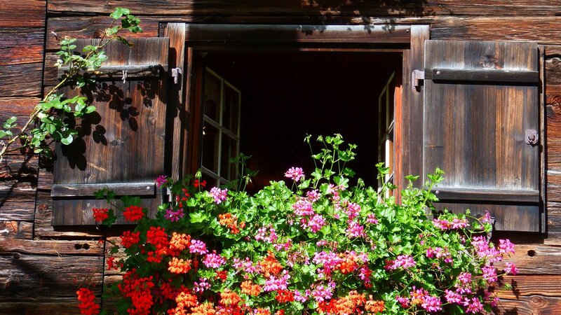 Flower Box on Wooden Cabin