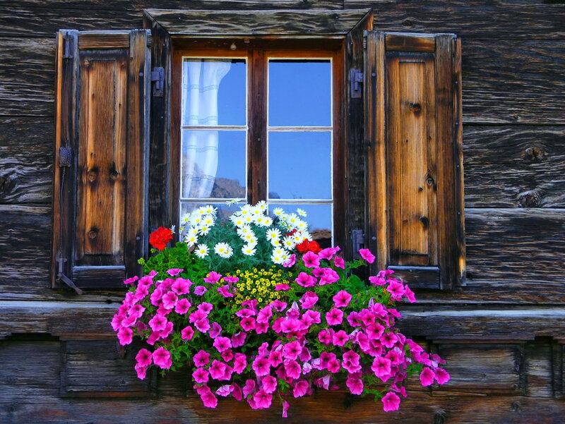 Flower Box on Wooden Window — Brown