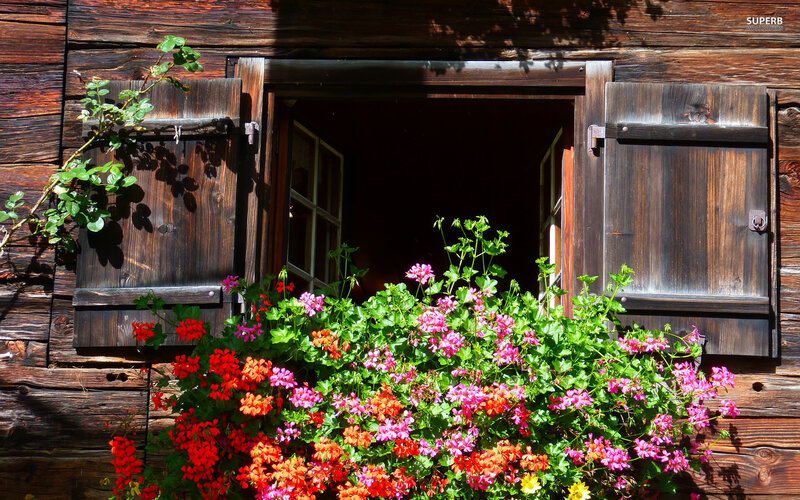 Flower Box on Wooden Window