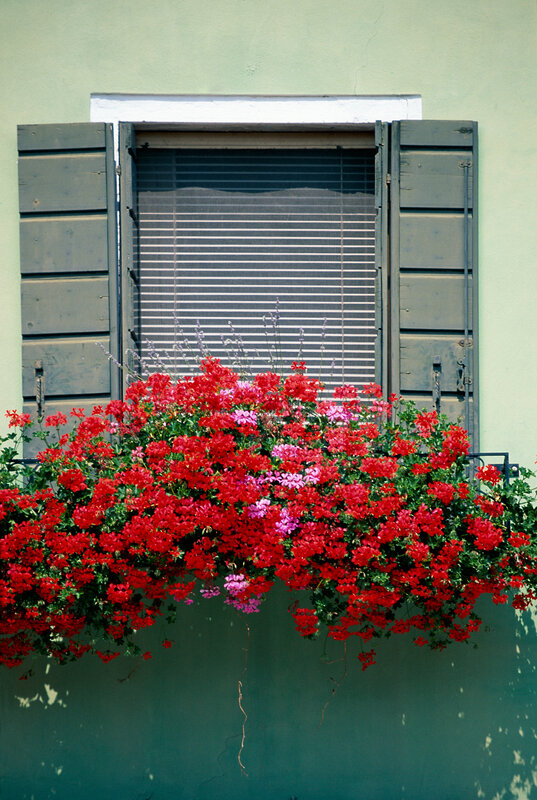 Flower box under window