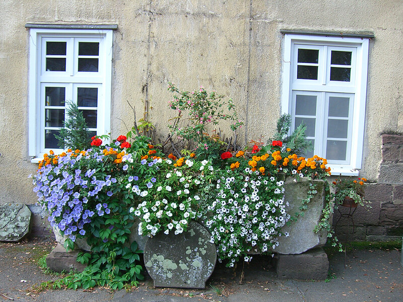 Flower boxes by old house