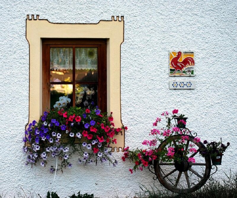 Flower Boxes by Window