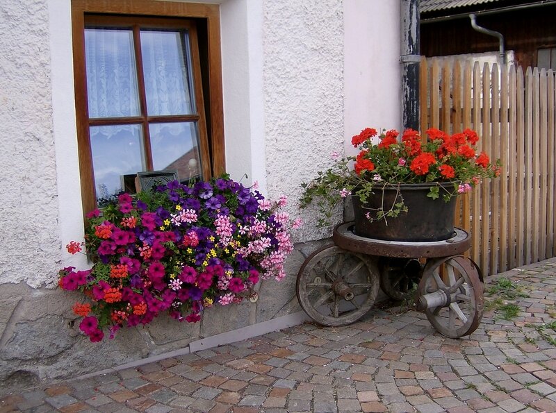 Flower Boxes on a House