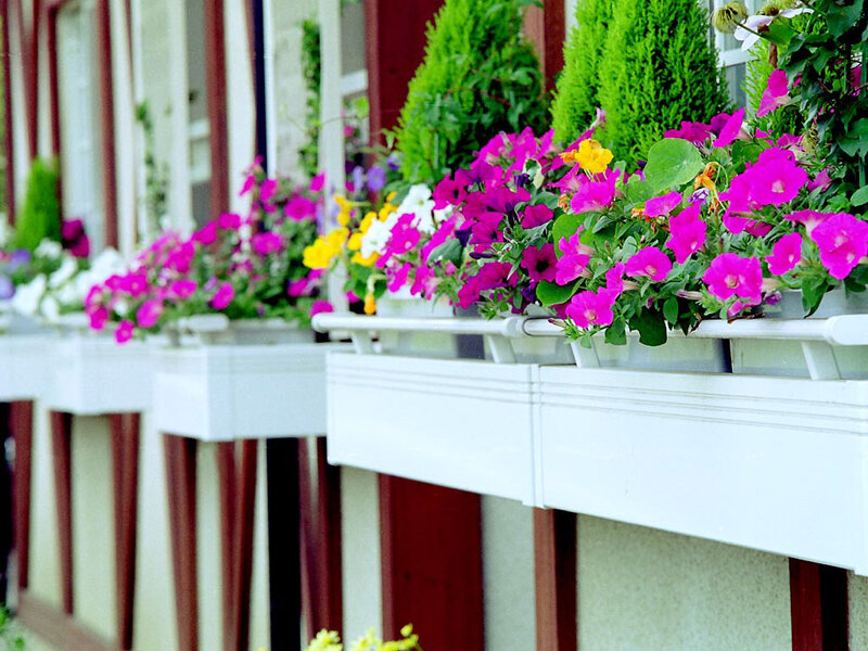 Flower Boxes on Balcony — Pink