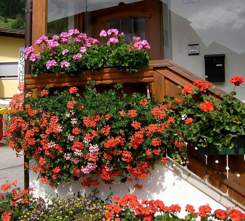 Flower Boxes on Balcony