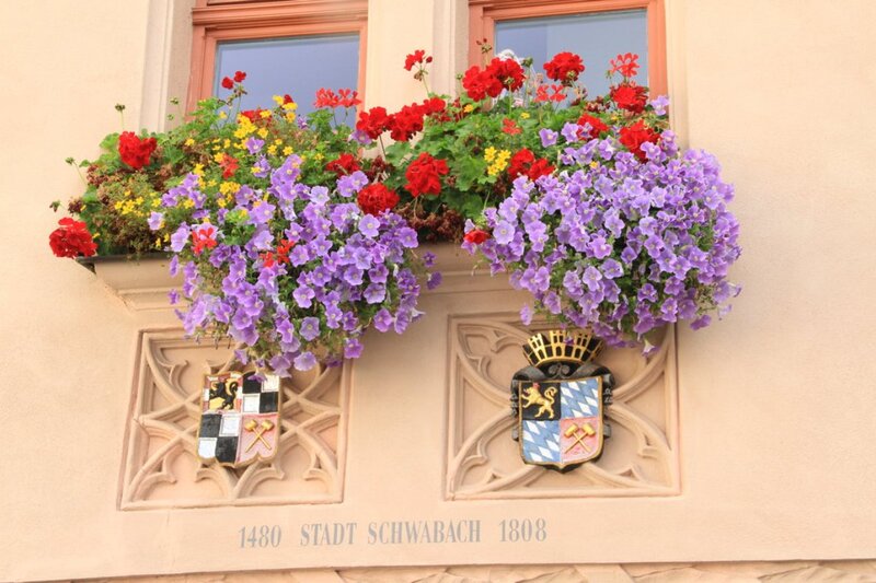 Flower Boxes on Building