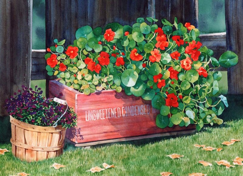 Flower Boxes on Grass