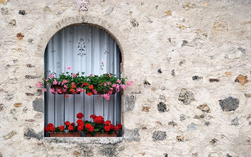Flower Boxes on Window