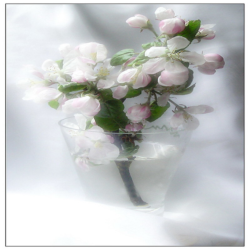 flower branch in glass vase