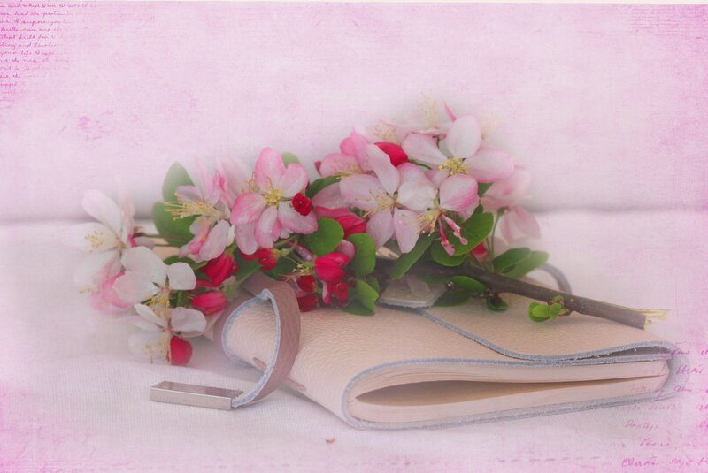 Flower Branch on Notebook