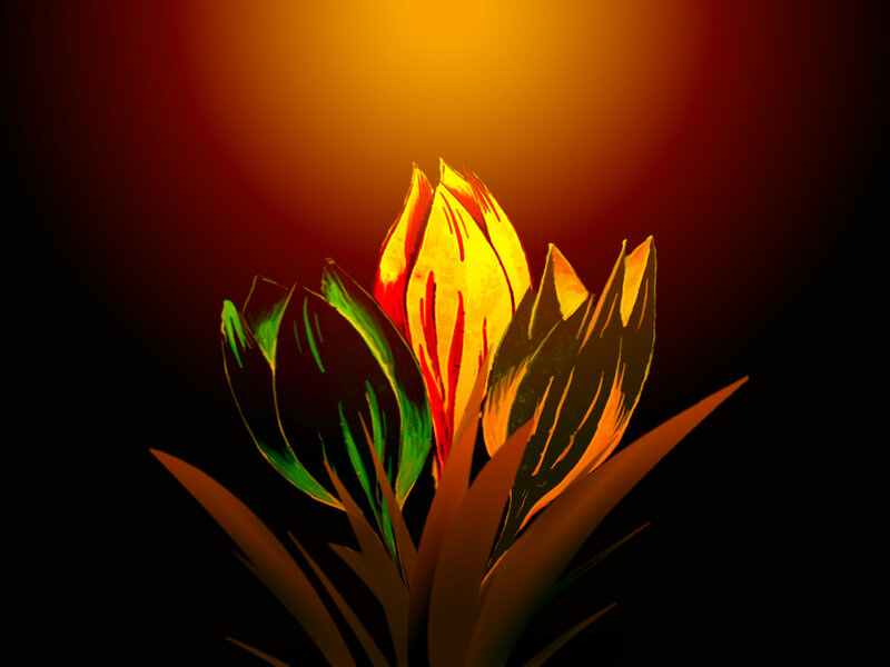 Flower Bud in Darkness