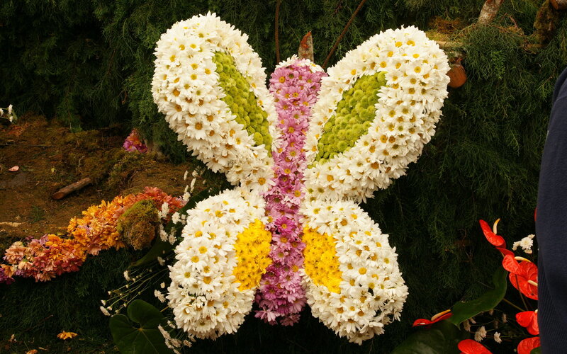 Flower butterfly arrangement