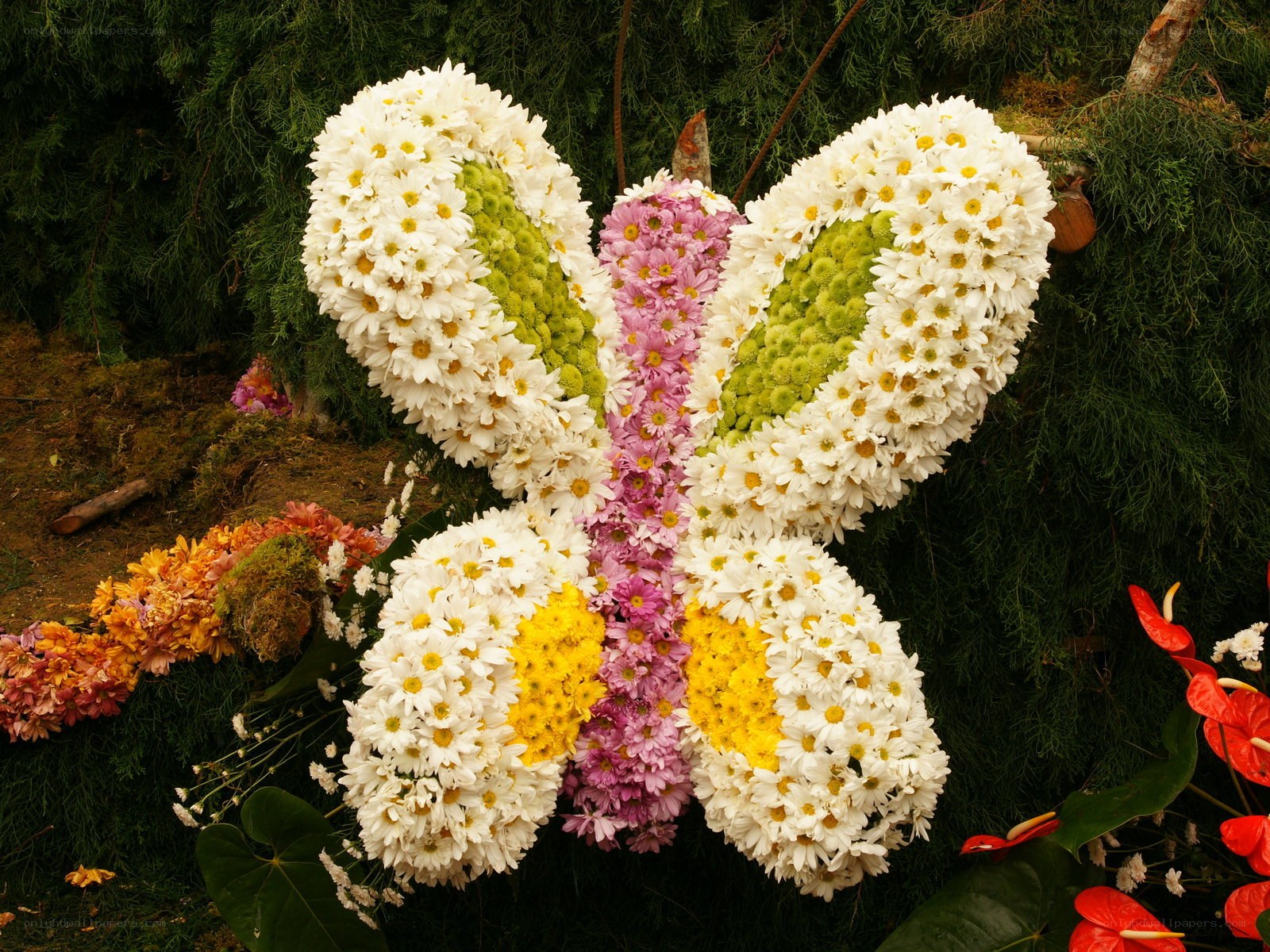 Flower butterfly arrangement