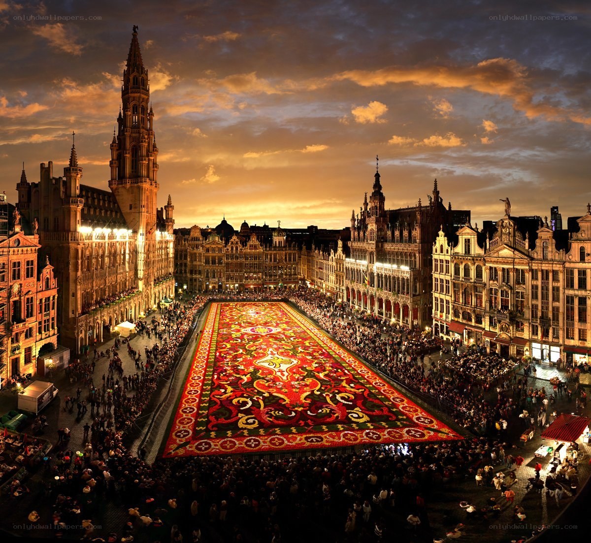 Flower carpet in Brussels